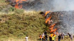 نابلس:مستوطنون يضرمون النار في عشرات الدونمات من الأراضي الزراعية