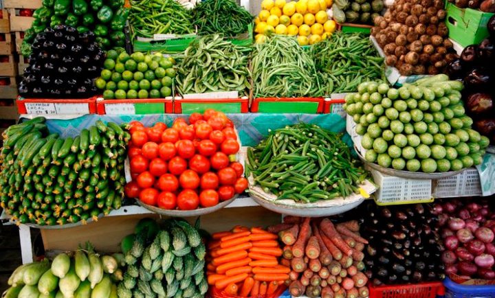 إطلاق حملة ترويج منتجات الخضار الآمنة في جنين