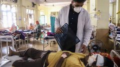 منظمة الصحة العالمية تصدر توصيات لتقليل انتشار "العفن الأسود"