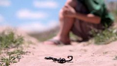لدغات العقارب تطارد الجنوب الليبي