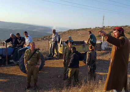 مستوطنون يقتلعون 84 شجرة مثمرة جنوب نابلس