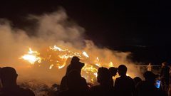 مستوطنون يضرمون النار في مساحات واسعة من أراضي جالود جنوب نابلس