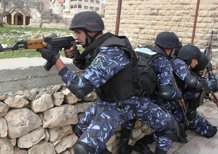 الأجهزة الأمنية تضبط مشتلًا للمخدرات في الخليل