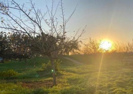 الطقس: ارتفاع على درجات الحرارة حتى نهاية الأسبوع