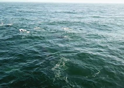 قارب عابر ينقذ سفینة إيرانية صغيرة من الغرق قادمة من الإمارات