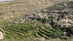 مستوطنون يشعلون النيران في مقاعد بأراضي بتير