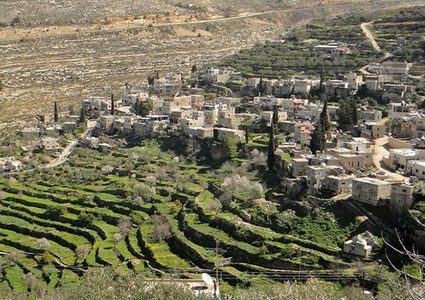 مستوطنون يشعلون النيران في مقاعد بأراضي بتير