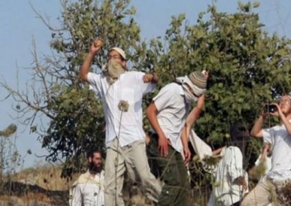 مستوطنون يهاجمون منزلا في بورين جنوب نابلس