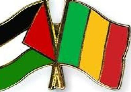 السفير شبلي يبحث مع وزير الثقافة في مالي سبل تعزيز التعاون