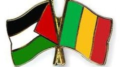 السفير شبلي يبحث مع وزير الثقافة في مالي سبل تعزيز التعاون