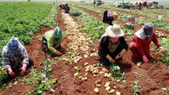 "بال تريد" يبحث تعزيز حركة المنتجات الزراعية بين المحافظات