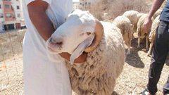 إطلاق مشروع أضاحي الخير في بيت لحم