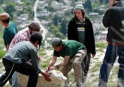 مستوطنون يزرعون أشجارا في منطقتي الفارسية وعين الحلوة