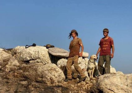 جنين:مستوطنون يستولون على جبل "أبو الشوارب"