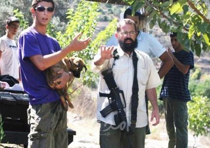 نابلس: مستوطنون يحرقون معدات منشار حجر في جماعين