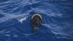 مصرع شاب غرقًا في الطنطورة.. ومصابان في شجار بطبريا