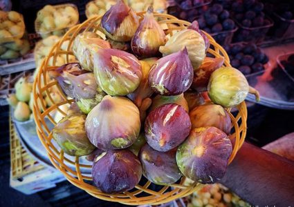 موسم التين في غزة