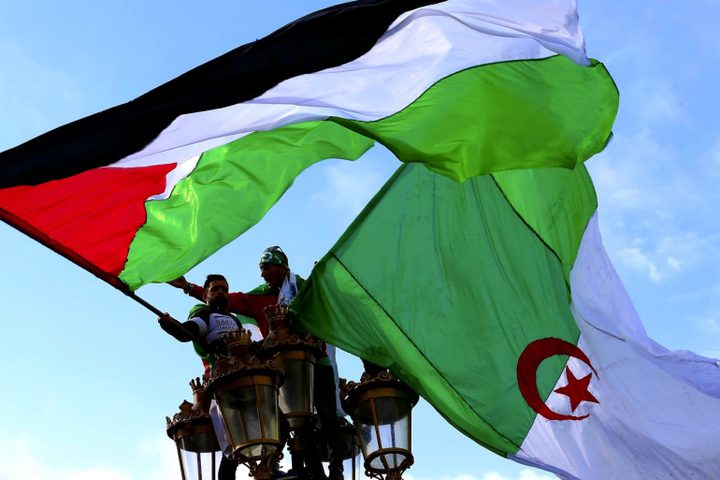الجزائر: مراقب جديد لن يؤثر على الدعم الثابت للقضية الفلسطينية