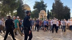 مستوطنون يقتحمون باحات الأقصى