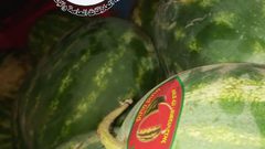 ضبط 25 طن بطيخ مهربة من إسرائيل شرق محافظة نابلس