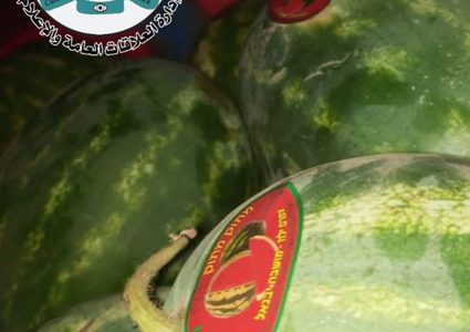 ضبط 25 طن بطيخ مهربة من إسرائيل شرق محافظة نابلس