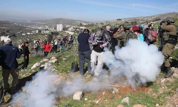 طوباس: اعتقال 12 مواطنا خلال مشاركتهم في مسيرة ضد الاستيطان