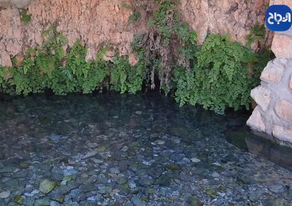 الباذان..وجهةٌ سياحيةٌ تمتاز بكثرة ينابيع وطواحين المياه