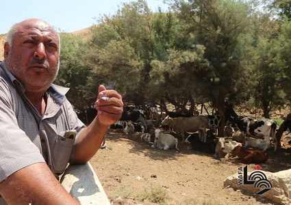 توسع استيطاني في الأغوار بحجة حماية الطبيعة