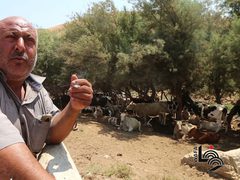 توسع استيطاني في الأغوار بحجة حماية الطبيعة