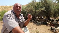 توسع استيطاني في الأغوار بحجة حماية الطبيعة