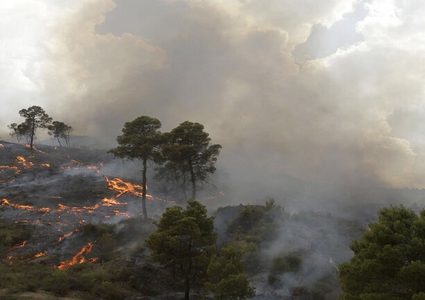 الأمم المتحدة: منطقة المتوسط هي مركز التغير المناخي