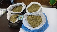 ضبط 4 كغم من مادة "مخدرة" داخل منزل في قلقيلية