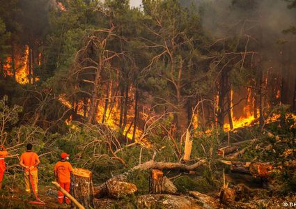 السيطرة على 209 حرائق في 47 ولاية في تركيا
