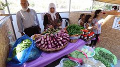 بيت لحم: افتتاح سوق الباذنجان البتيري الخامس