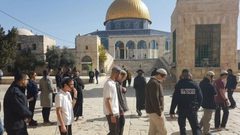عشرات المستوطنيين يقتحمون الأقصى