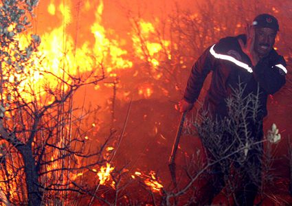 الجزائر: ارتفاع عدد ضحايا حرائق الغابات إلى 42 بينهم 25 عسكريا