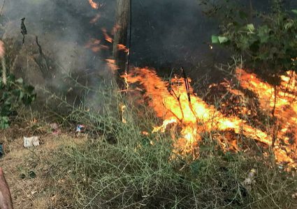 ارتفاع عدد ضحايا الحرائق في الجزائر إلى 65