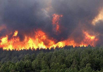 رئيس وزراء الجزائر: الحرائق نتيجة فعل إجرامي