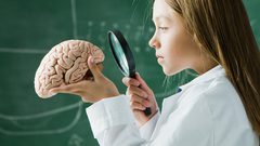 ما هي أفضل الأطعمة لتغذية الدماغ ؟