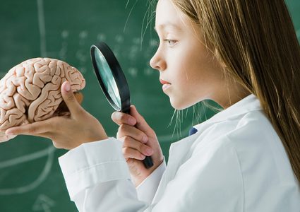 ما هي أفضل الأطعمة لتغذية الدماغ ؟