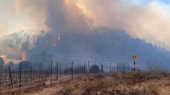 حرائق كبيرة في جبال القدس والاحتلال يخلي المستوطنين