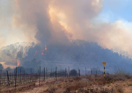 حرائق كبيرة في جبال القدس والاحتلال يخلي المستوطنين