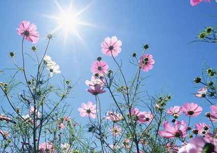 الطقس: أجواء حارة اليوم