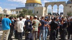 مستوطنون يقتحمون "الأقصى" واعتقال 3 مقدسيين بعد الاعتداء عليهم