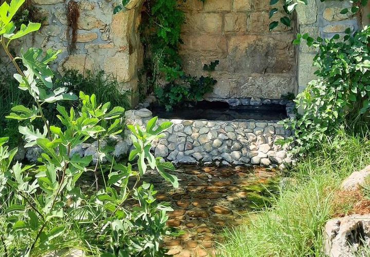 قرية صوبا المهجرة غرب مدينة #القدس