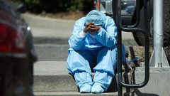 إغلاق مديرية زراعة قلقيلية بسبب كورونا