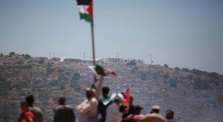 عشرات الأطفال يوجهون رسائل للعالم من جبل صبيح جنوب نابلس