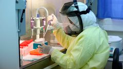 3 وفيات و663 إصابة جديدة بكورونا في قطاع غزة