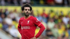 منتخب مصر يتلقى رسالة صادمة من ليفربول بشأن صلاح