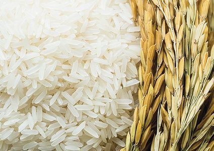 من هي الفئات الممنوعة من تناول الأرز؟